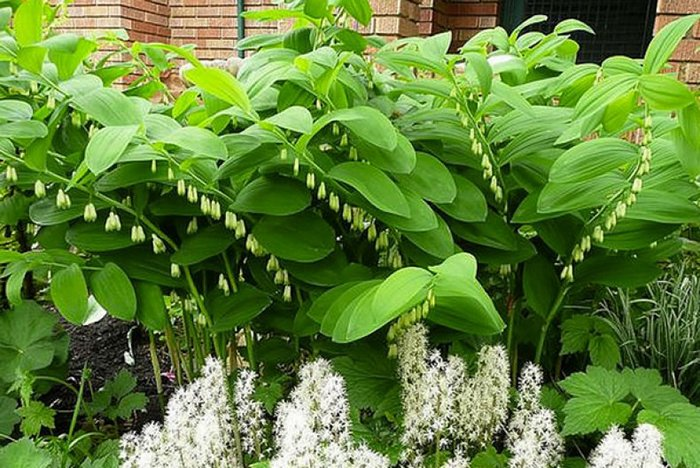 Превью изображения