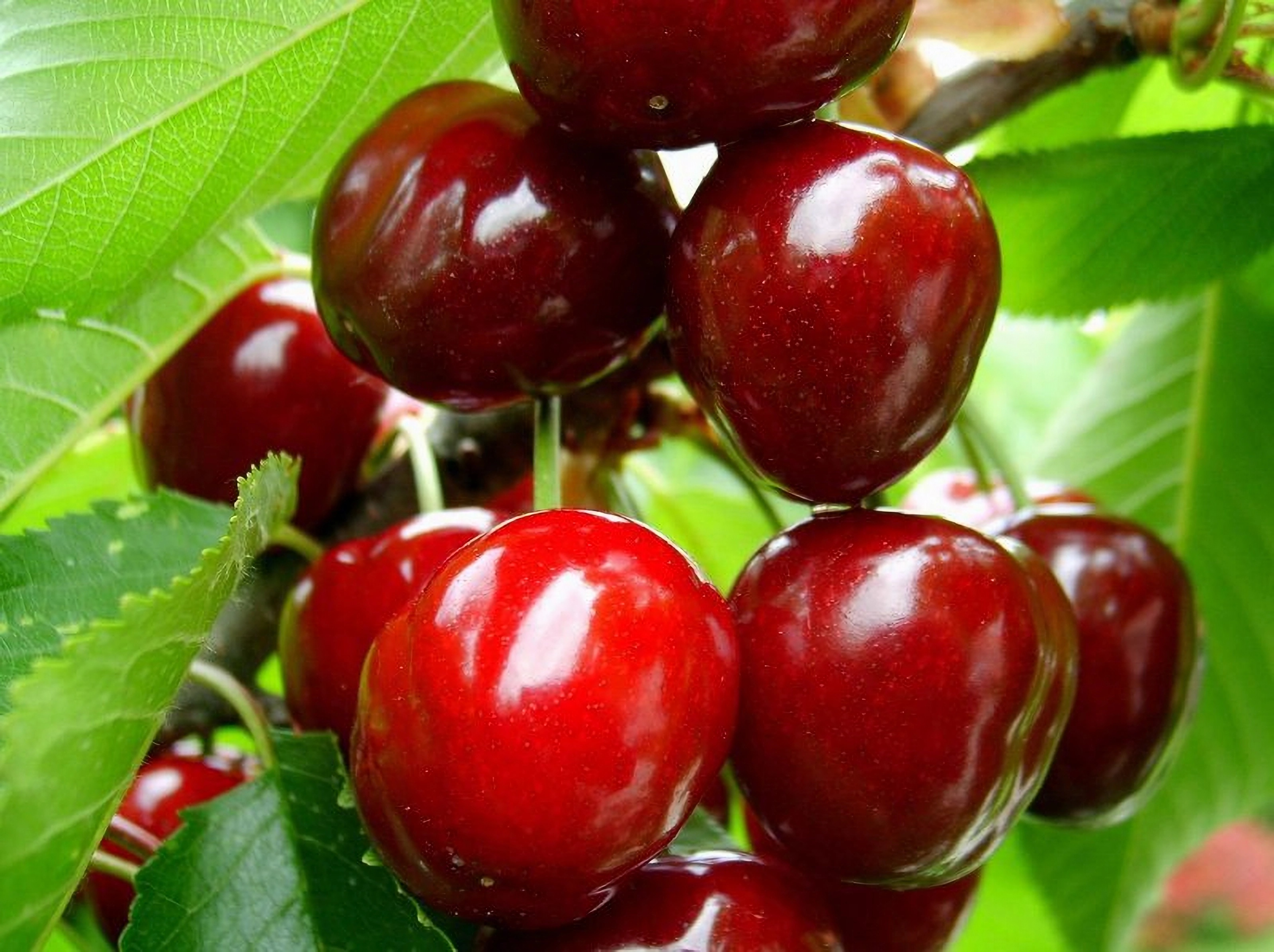 Превью изображения