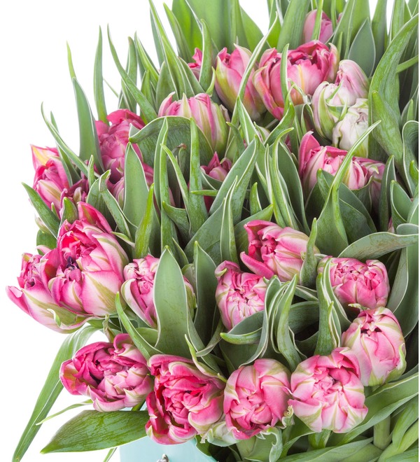 Превью изображения