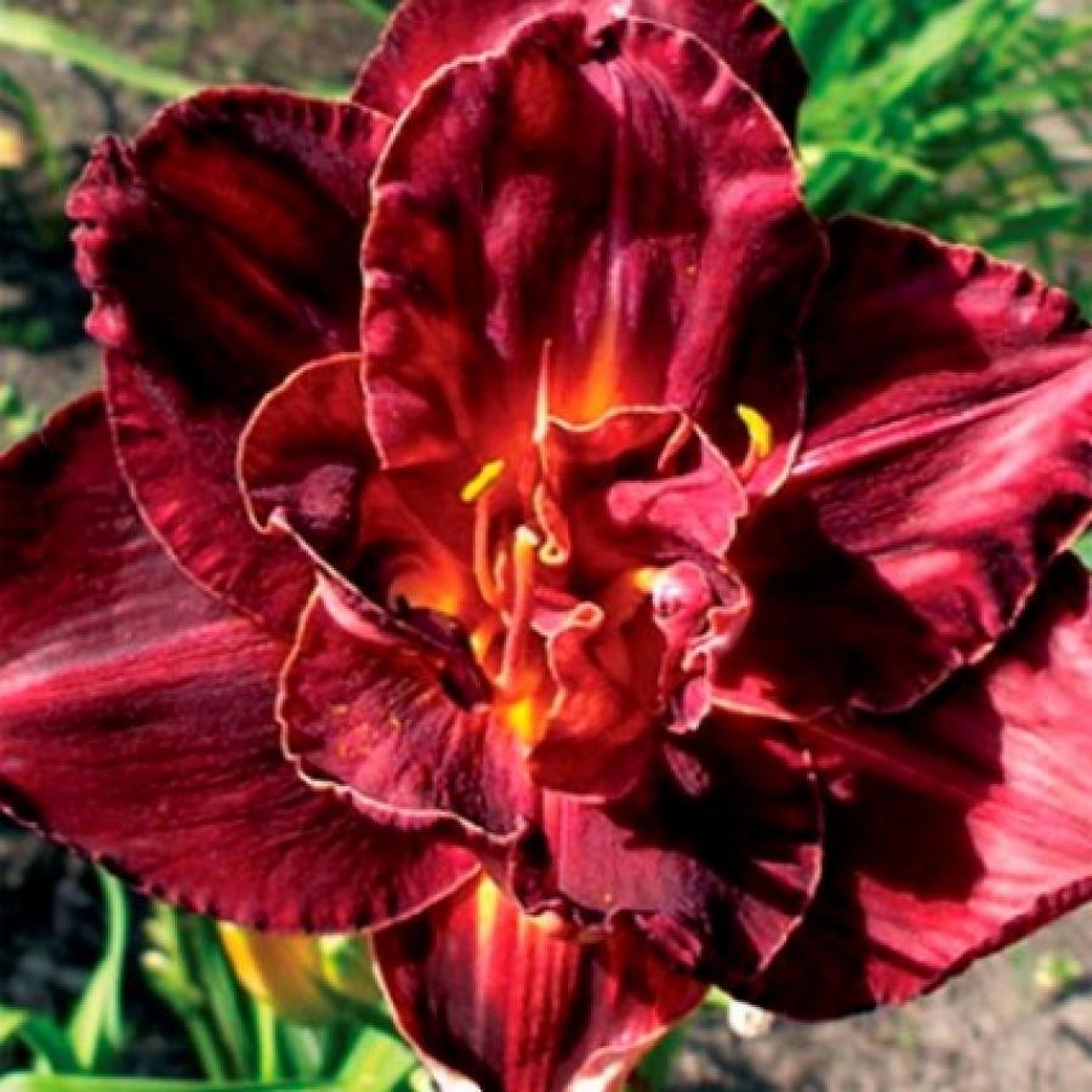 Превью изображения