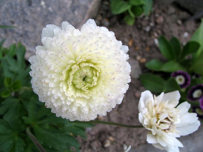 Превью изображения