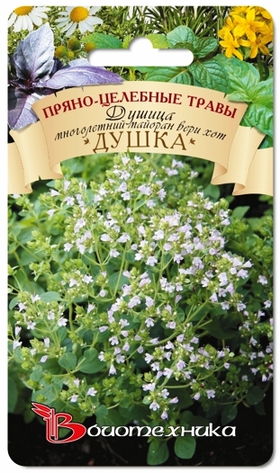 Превью изображения