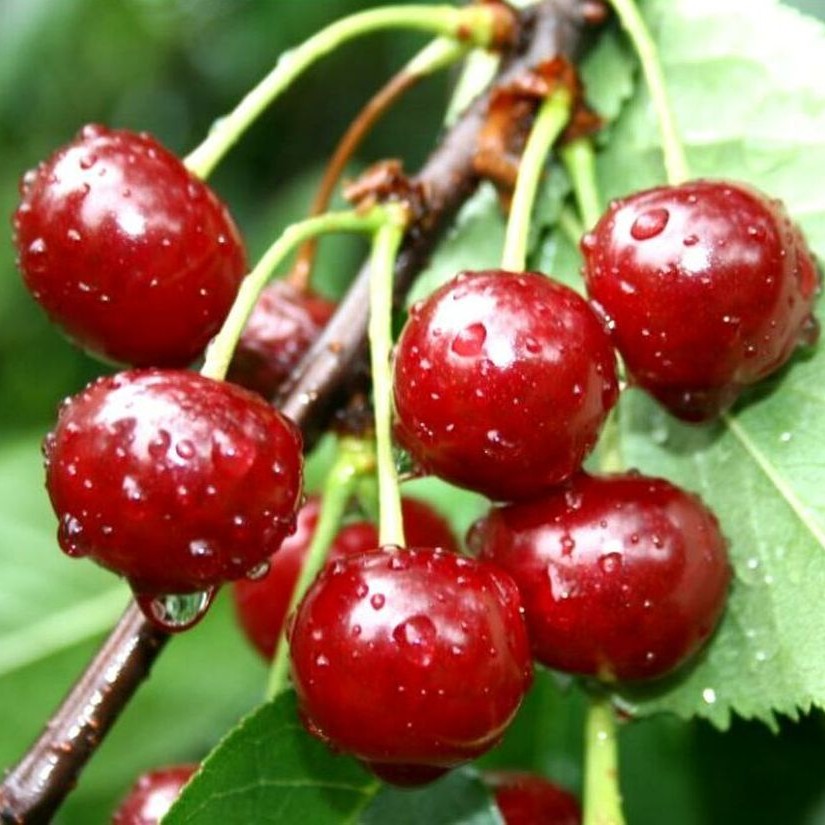 Превью изображения