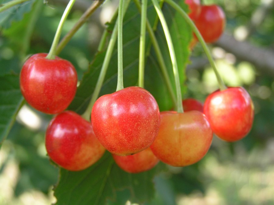 Превью изображения