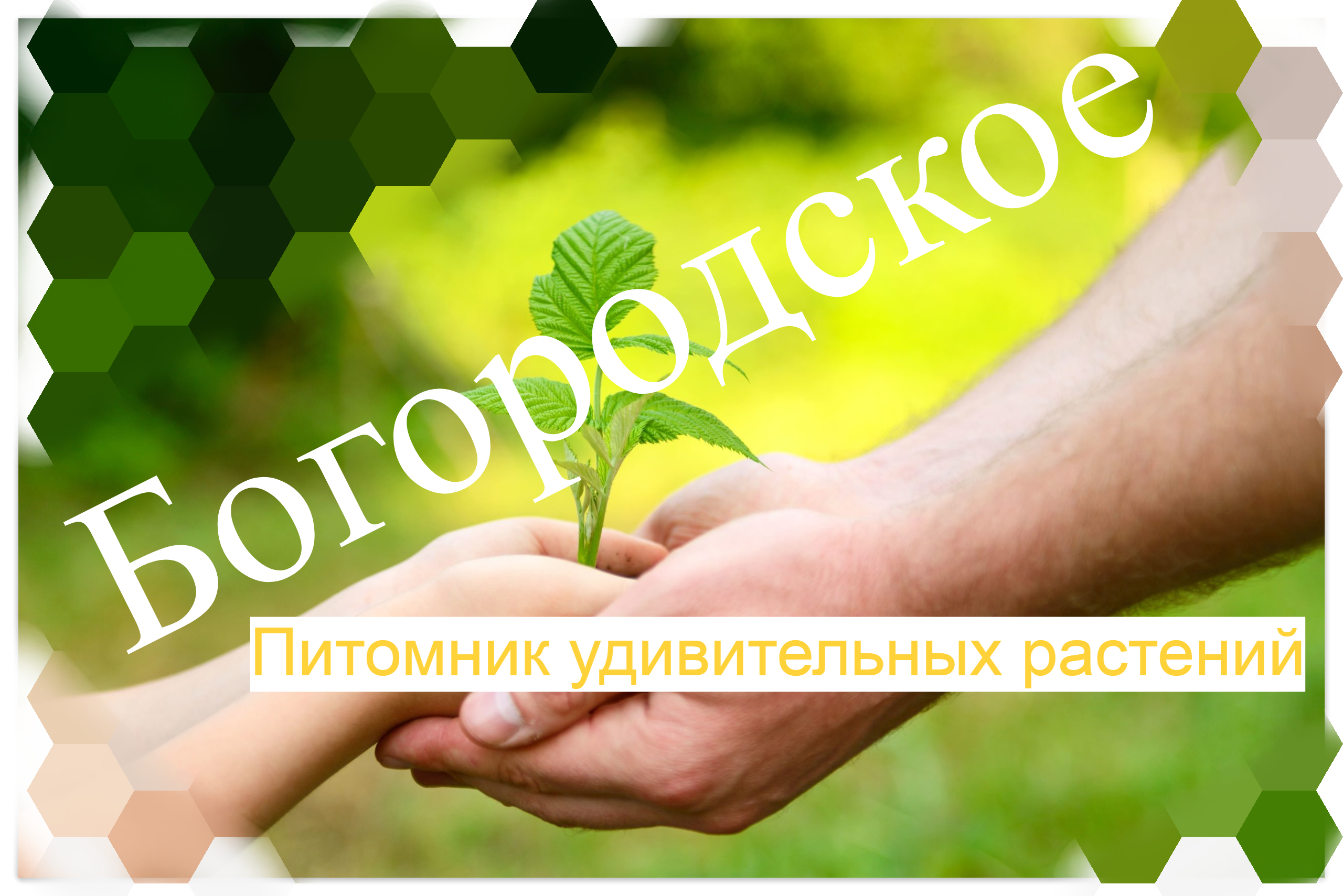 Превью изображения