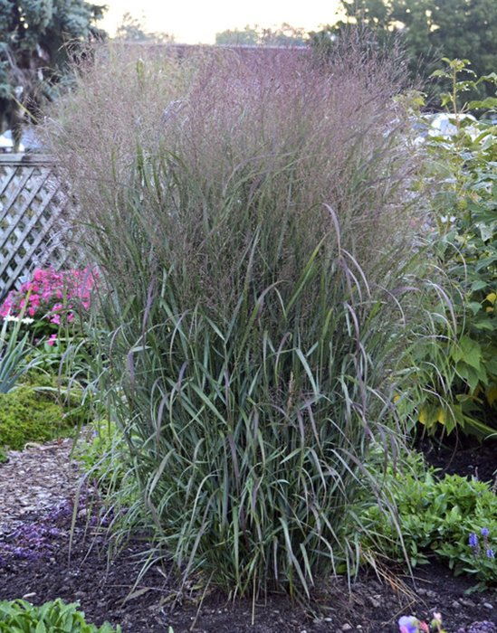 Превью изображения