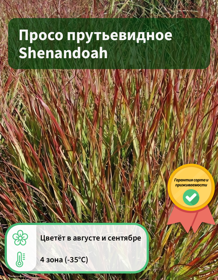 Превью изображения