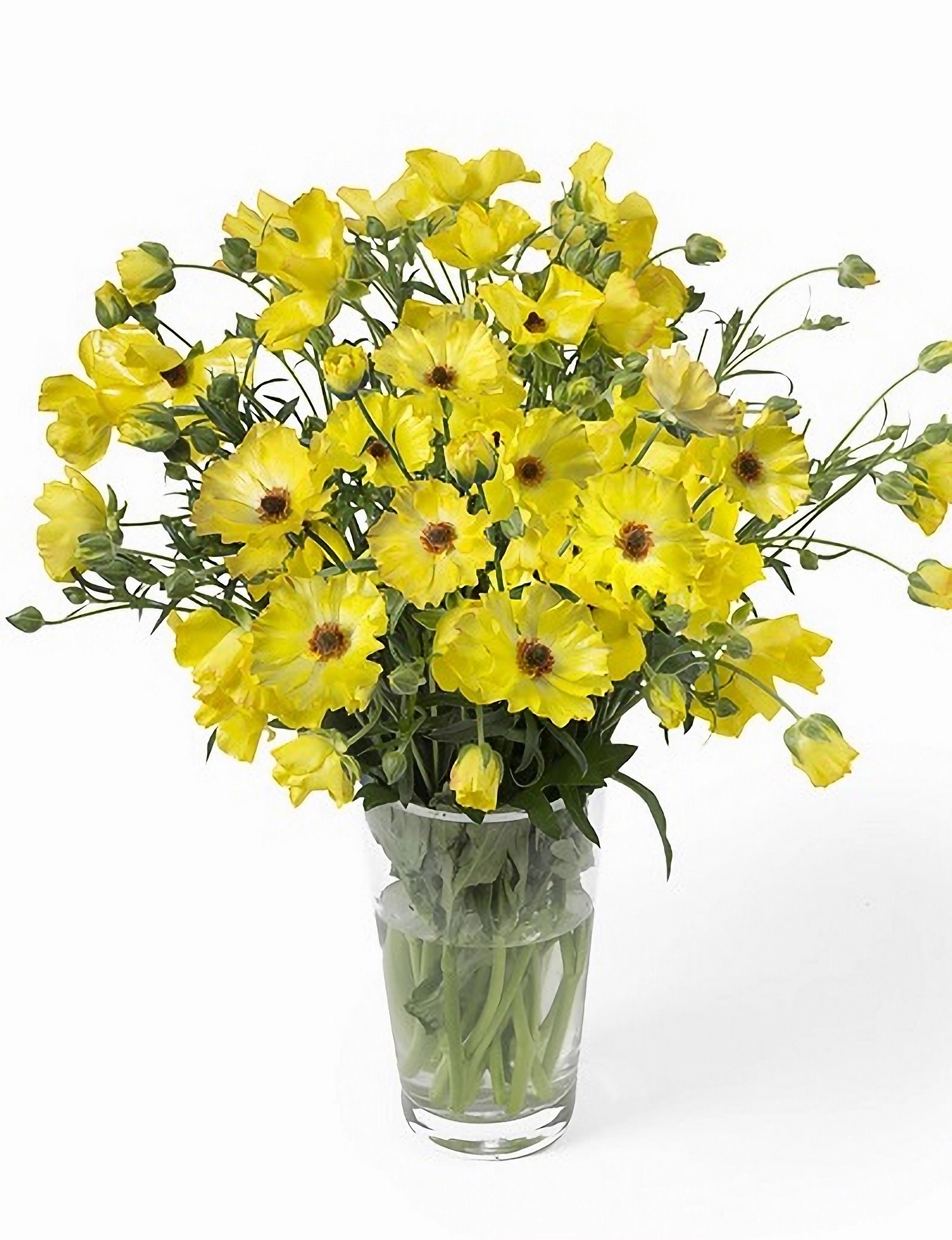 Превью изображения