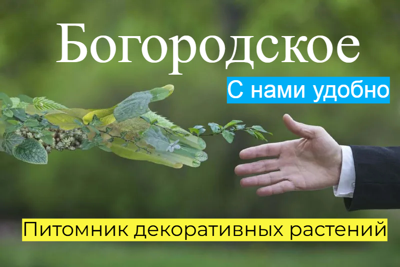 Превью изображения