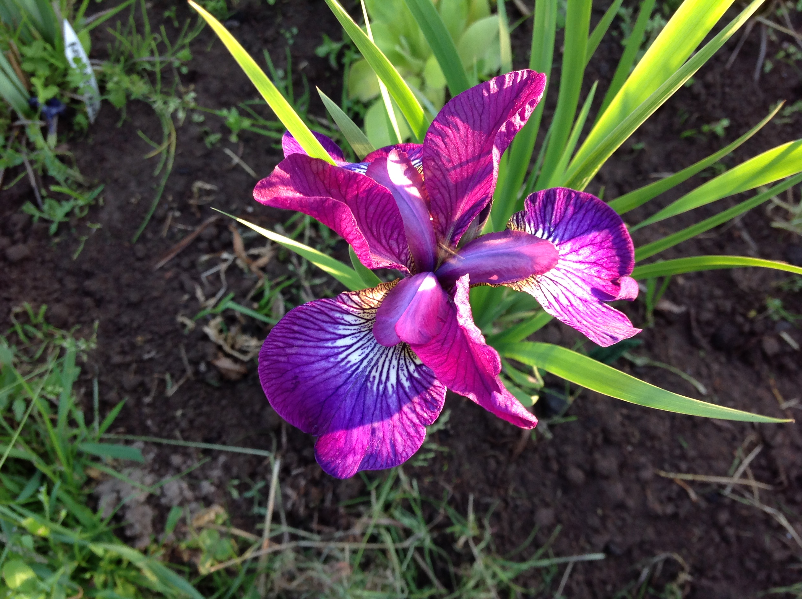 Превью изображения