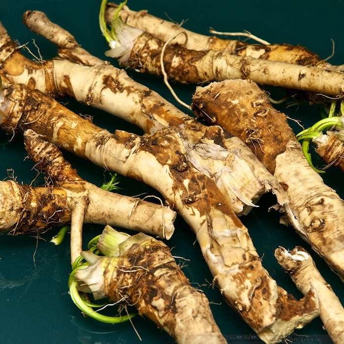 Превью изображения