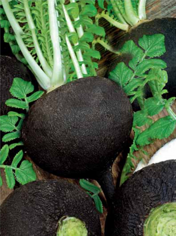 Превью изображения