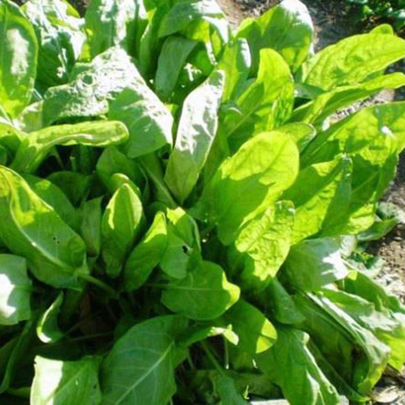 Превью изображения