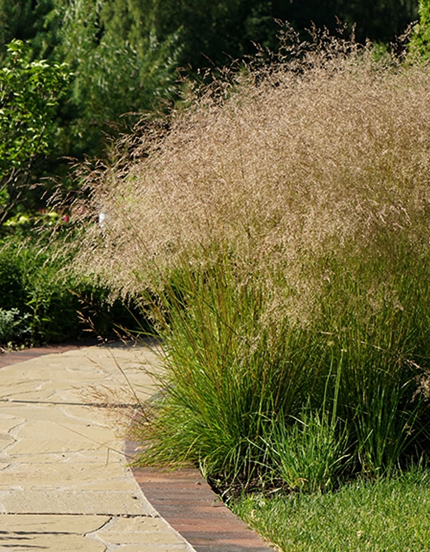 Превью изображения