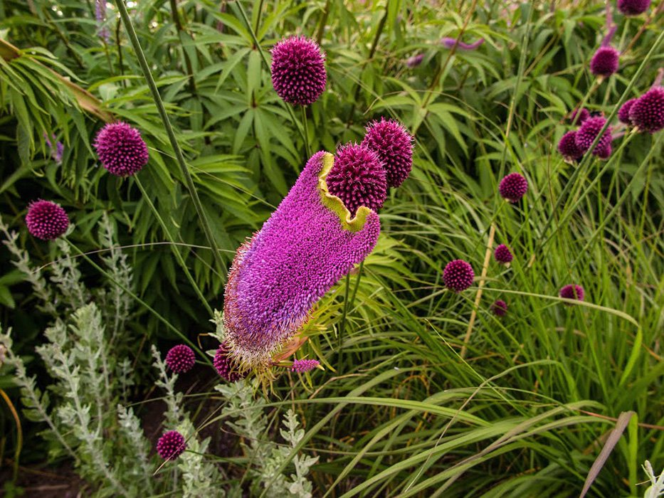Превью изображения