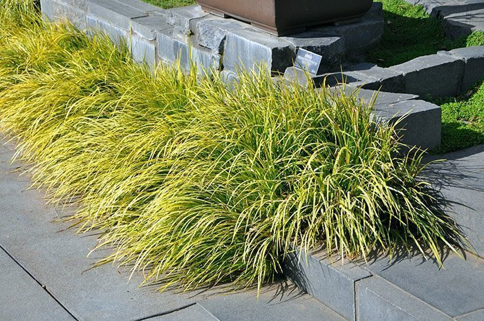 Превью изображения