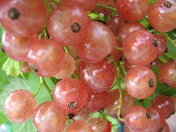 Превью изображения