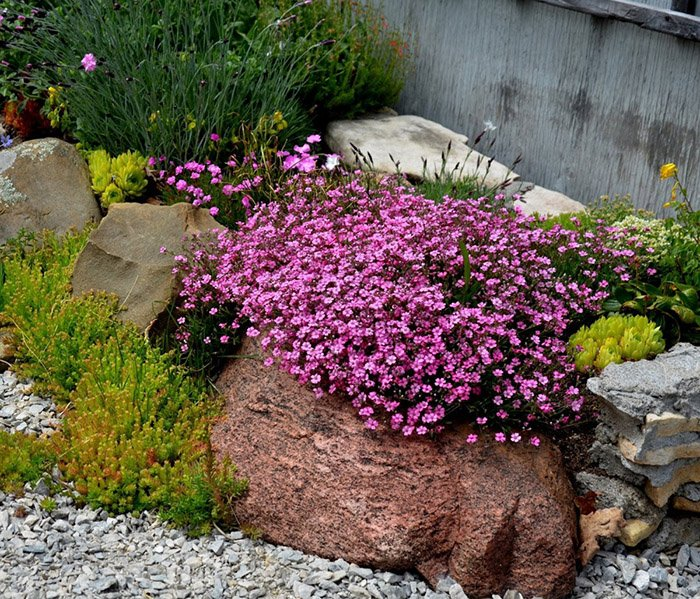 Превью изображения