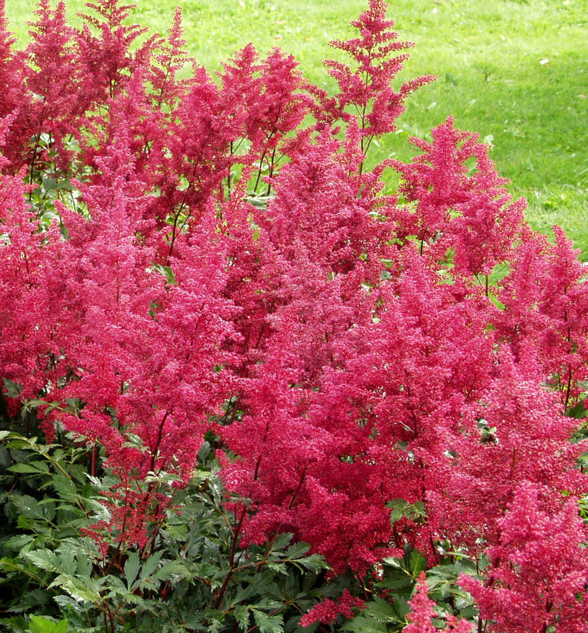 Превью изображения