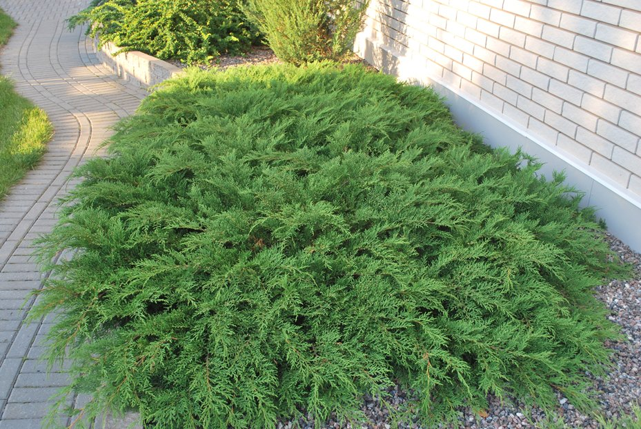 Превью изображения