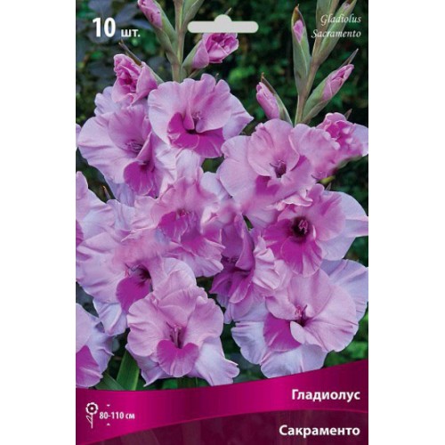 Превью изображения