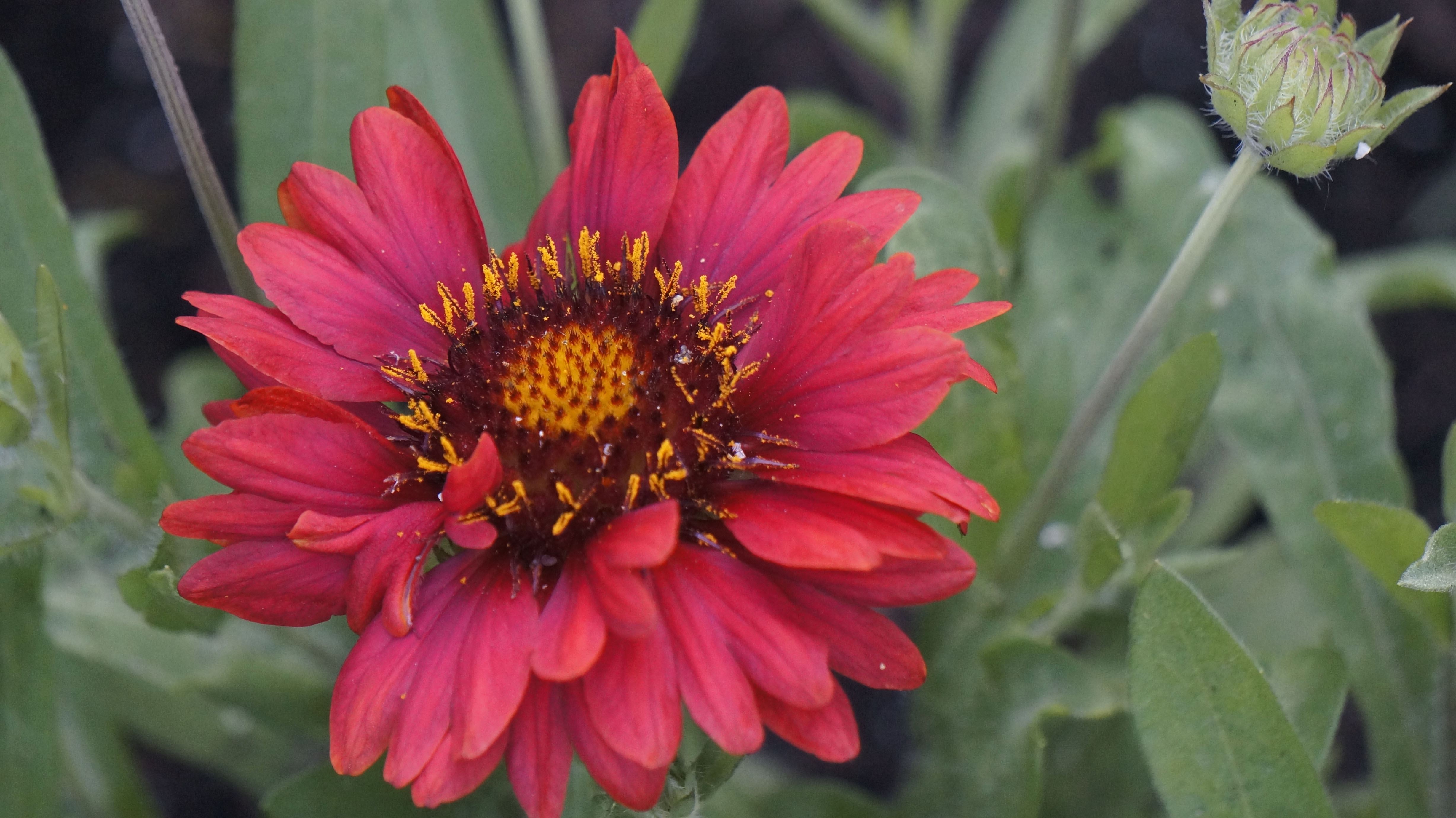 Превью изображения