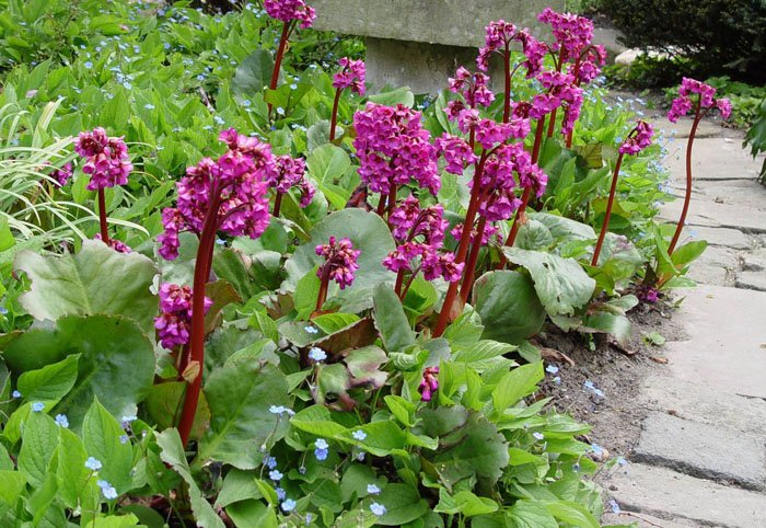 Превью изображения