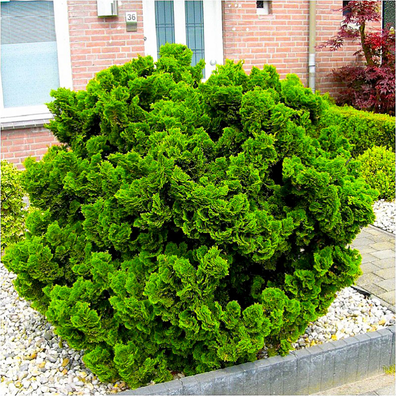 Превью изображения