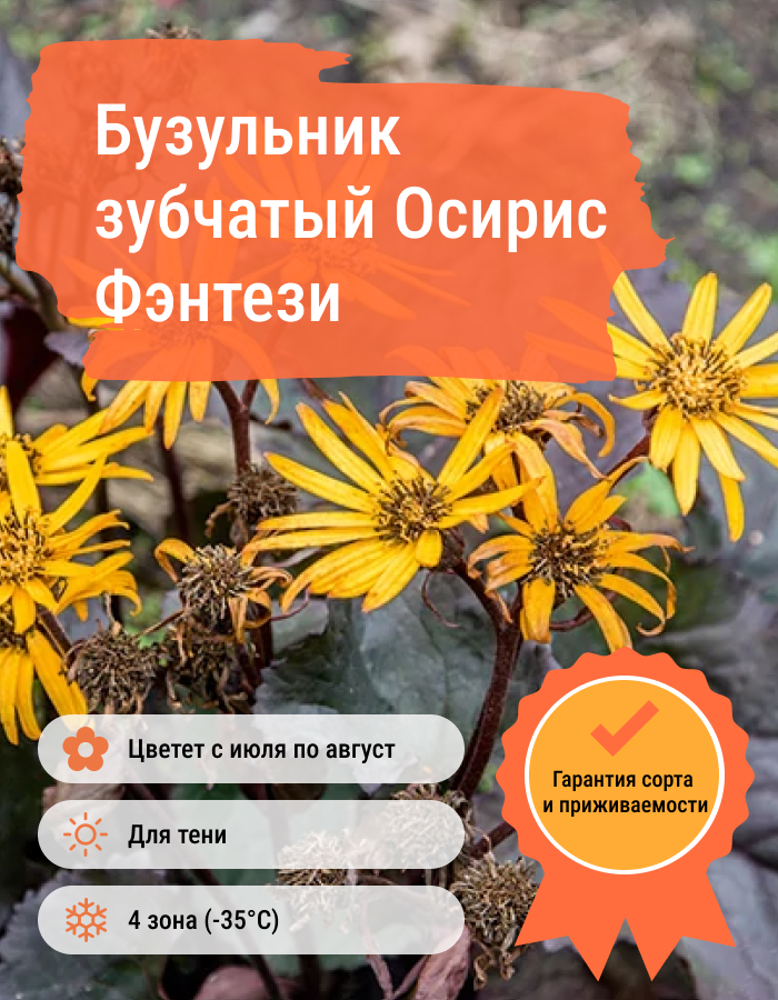 Превью изображения