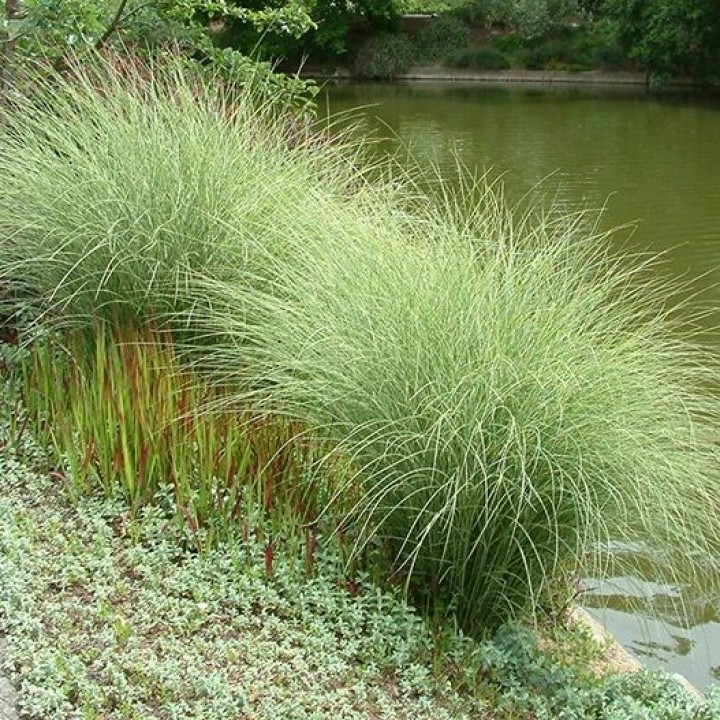 Превью изображения