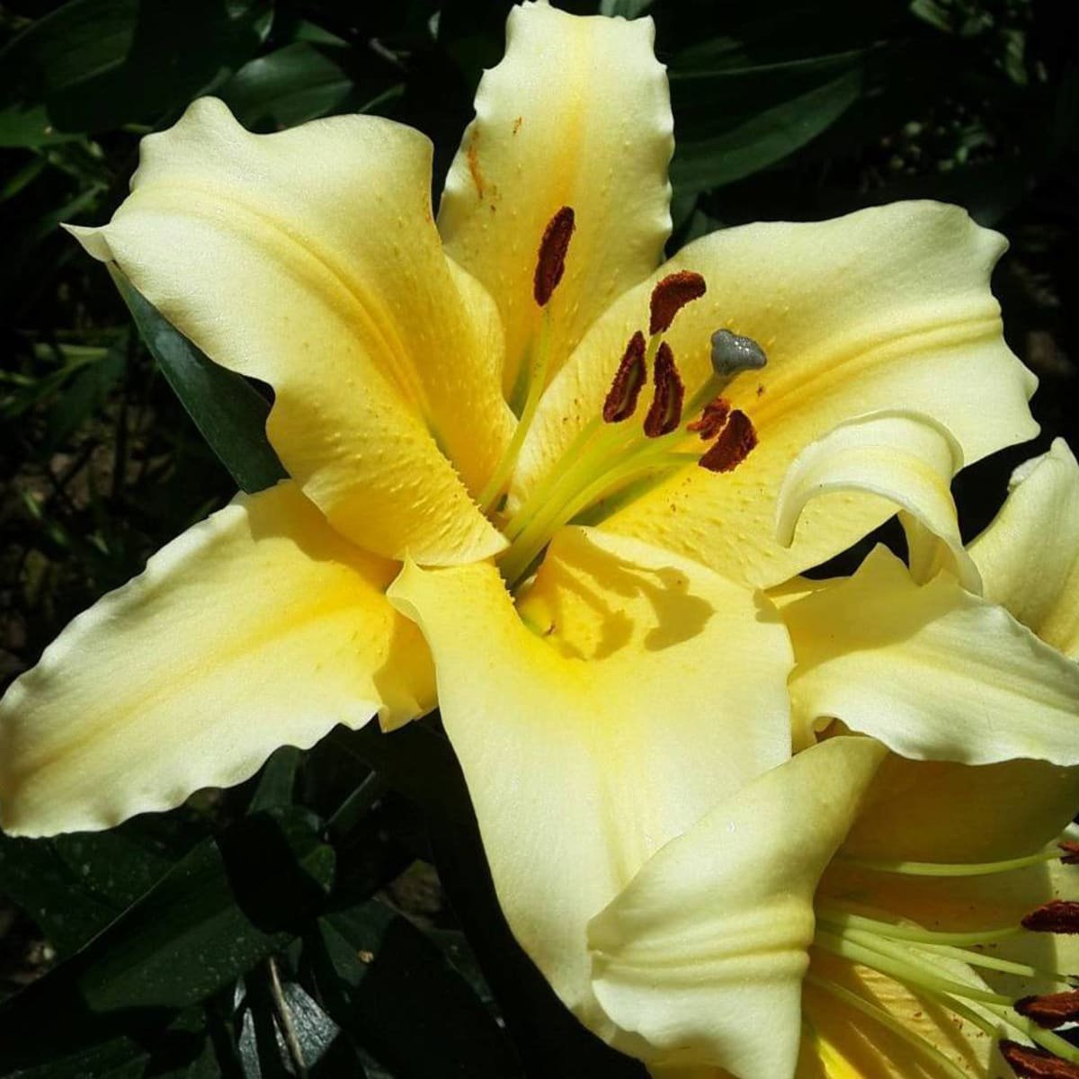 Превью изображения