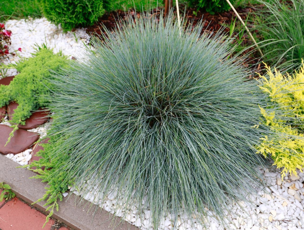 Превью изображения