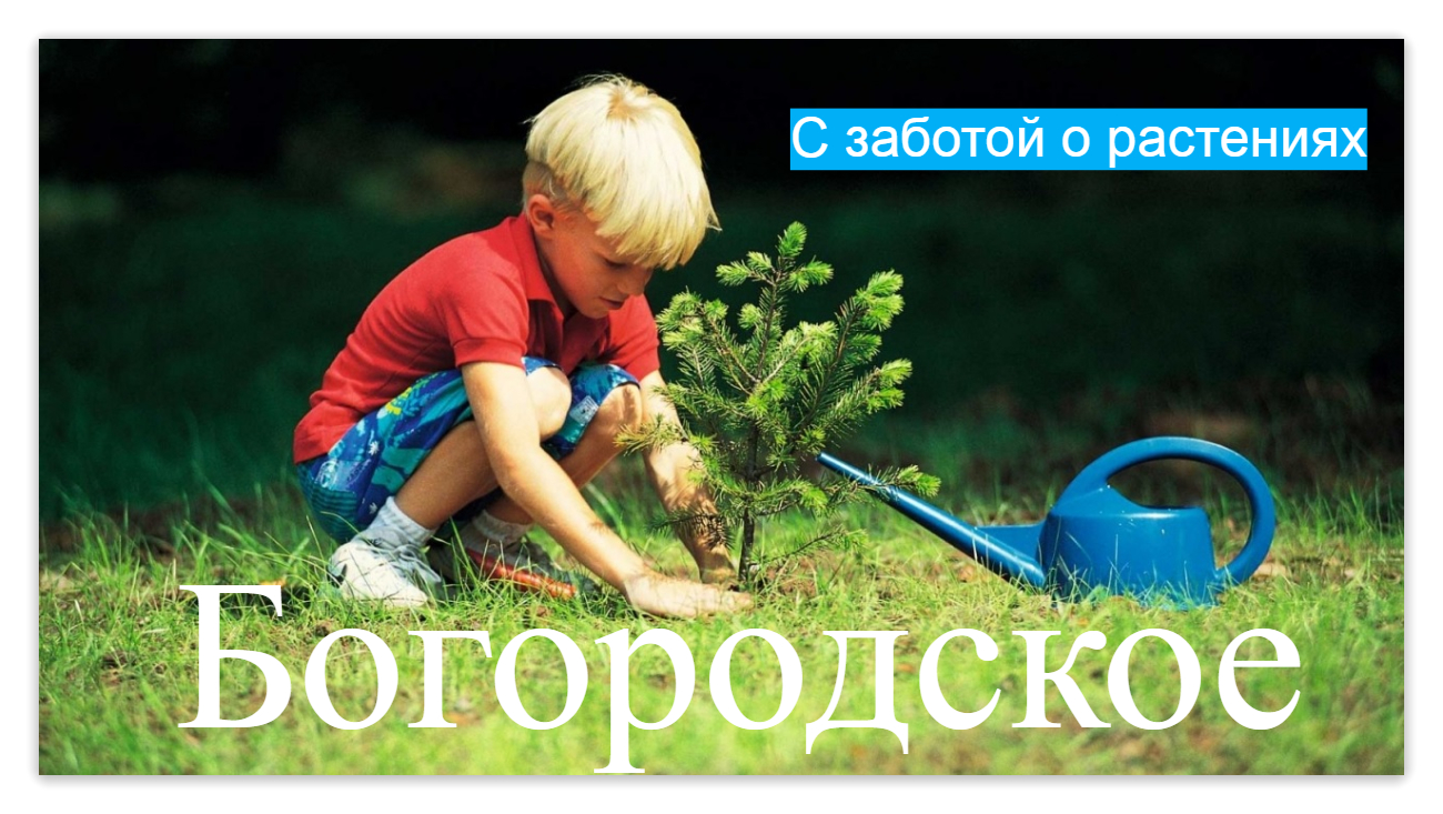Превью изображения