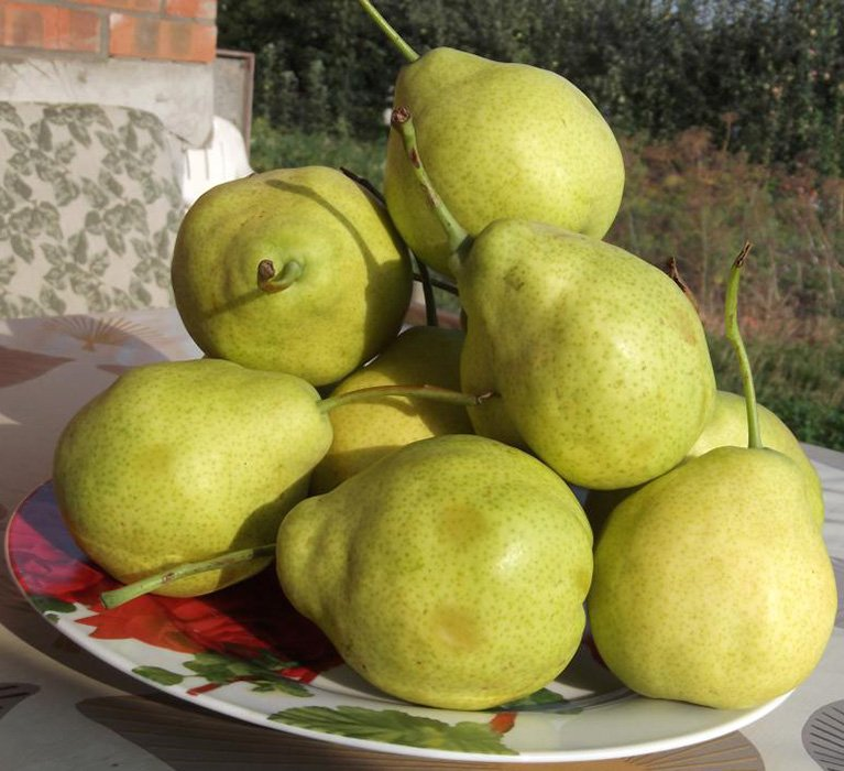 Превью изображения