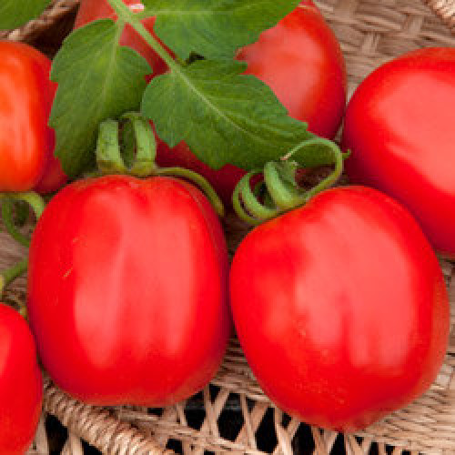 Превью изображения