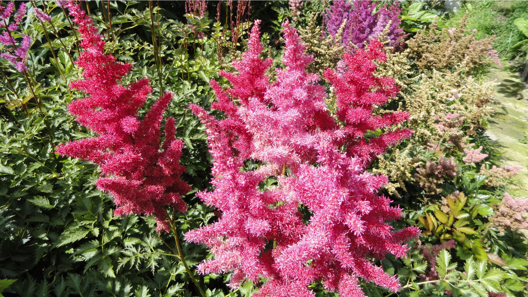 Превью изображения