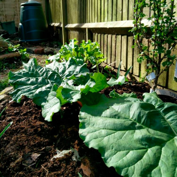 Превью изображения