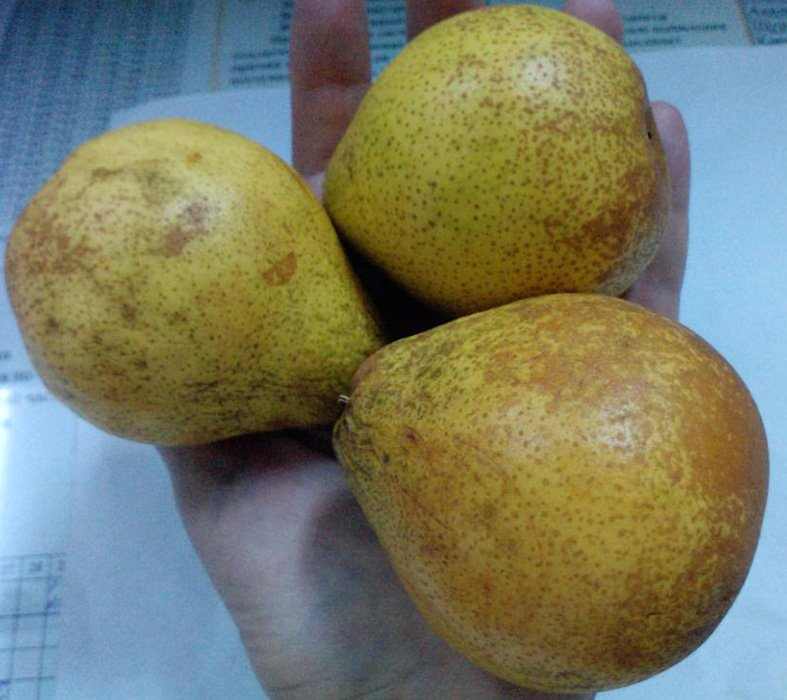 Превью изображения