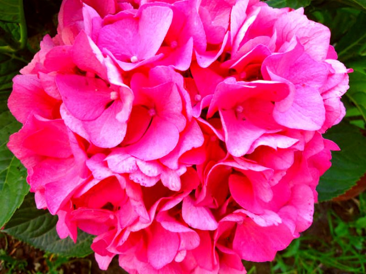 Превью изображения