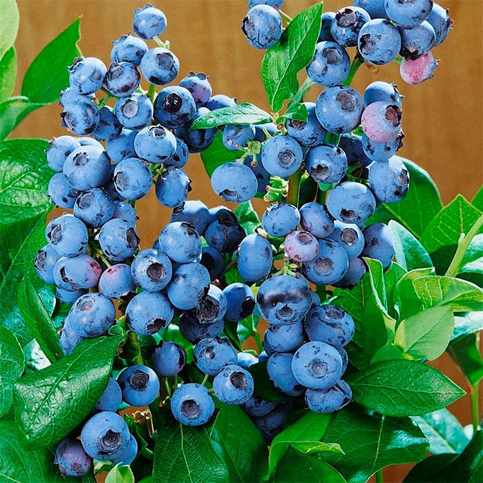 Превью изображения