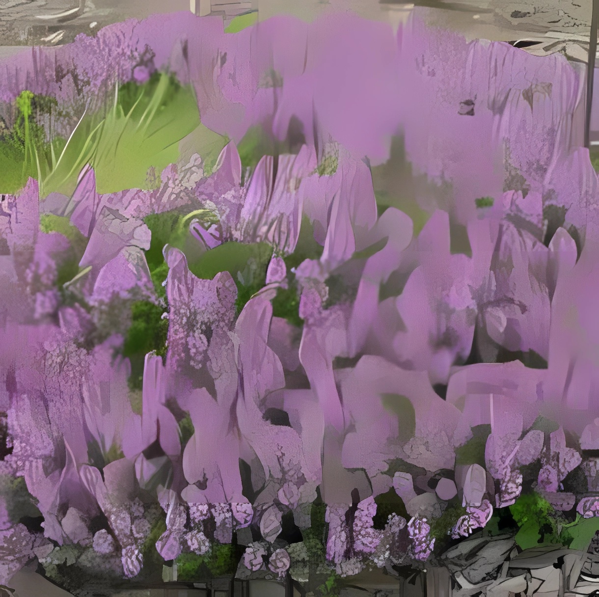 Превью изображения