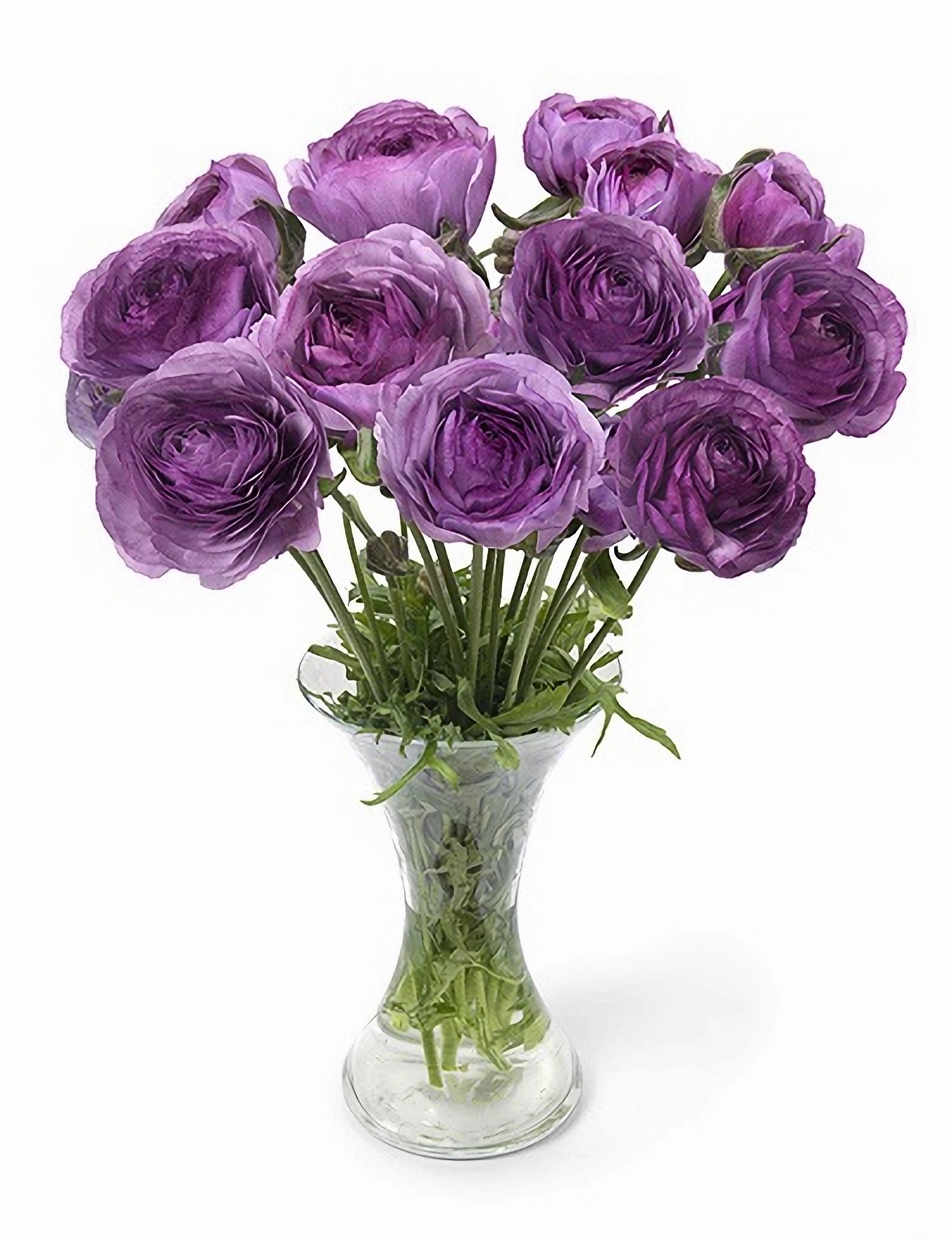 Превью изображения