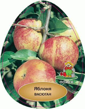 Превью изображения