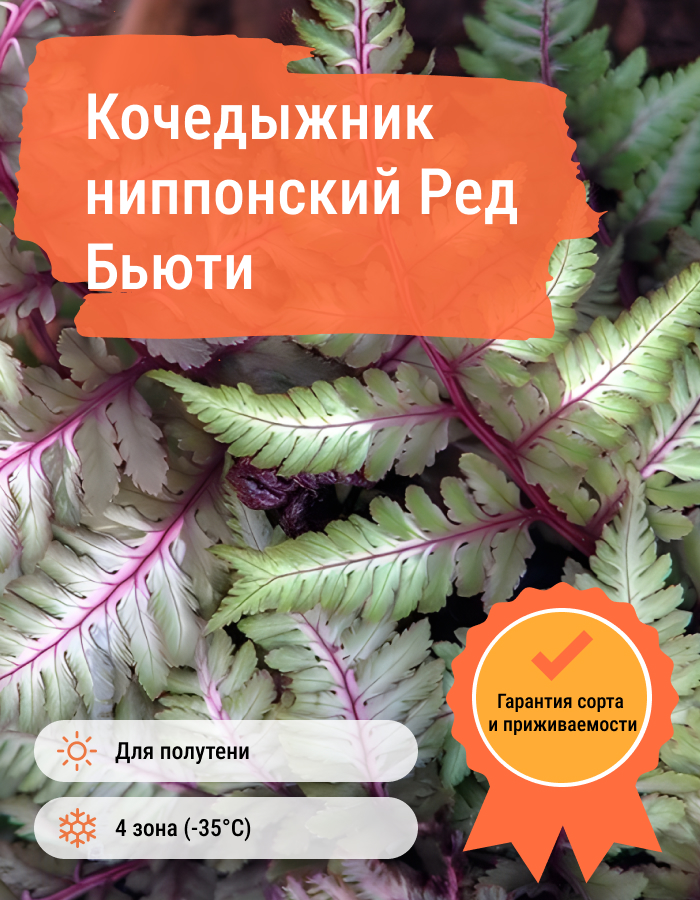 Превью изображения