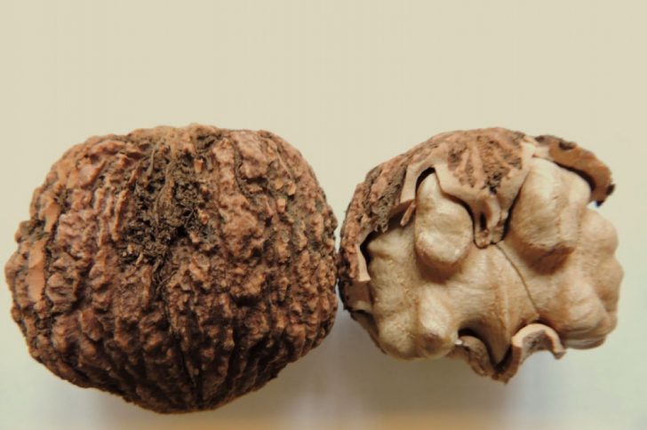 Превью изображения