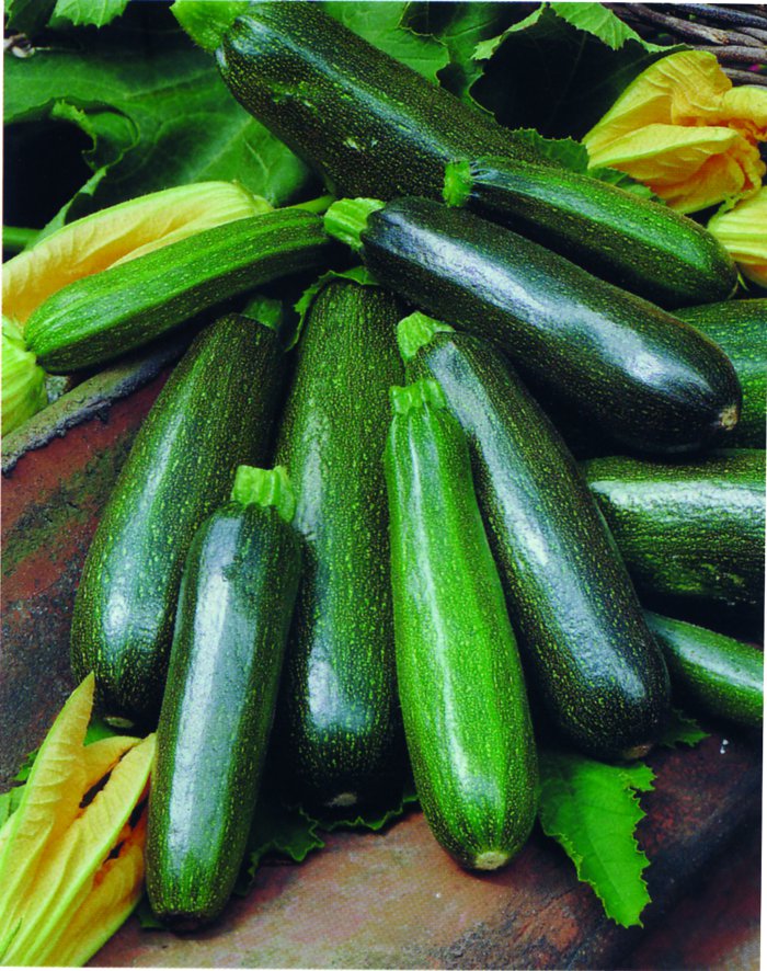 Превью изображения