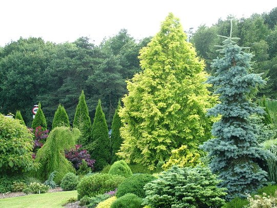 Превью изображения