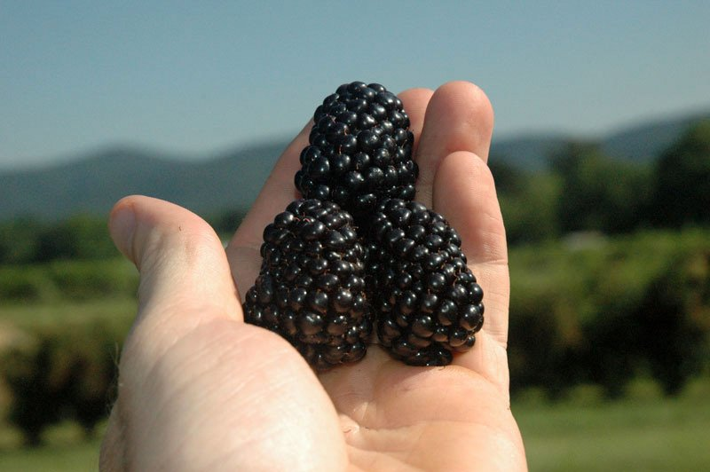 Превью изображения