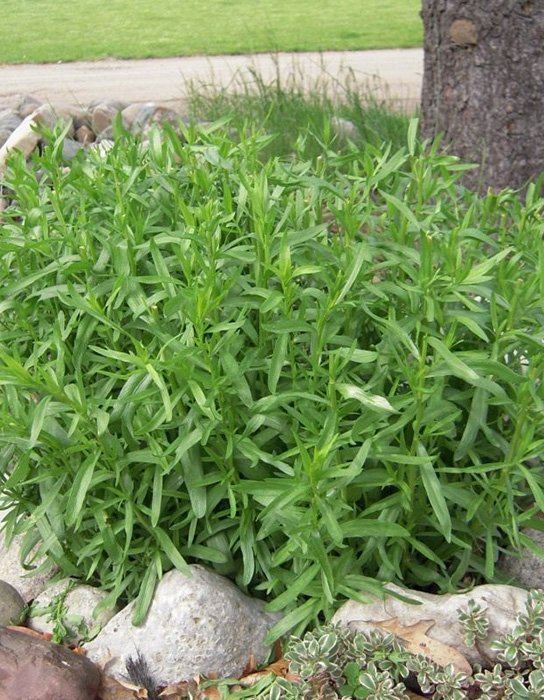 Превью изображения