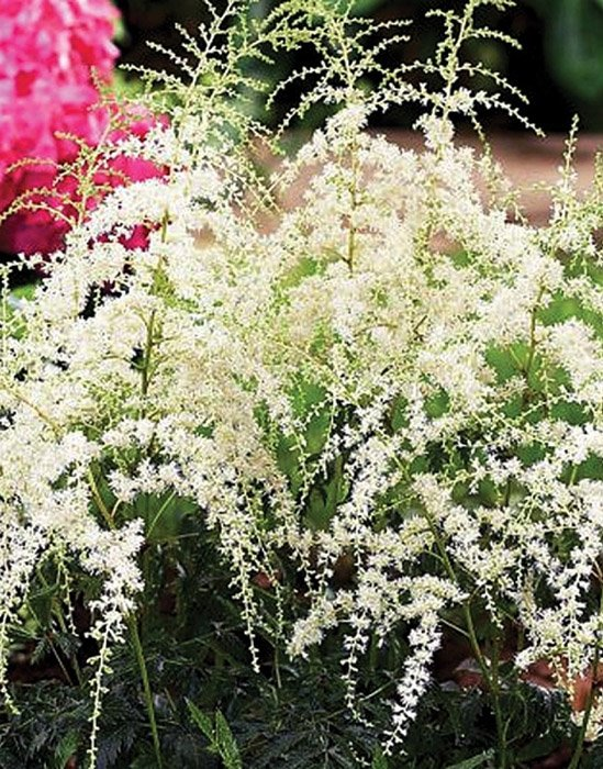 Превью изображения